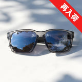 Stella【グレー】Silver Mirror Lens(紫外線調光)